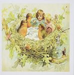 3dRose Image of Vintage Tea Party in Birds Nest with Girl and Birds - Greeting Cards, 6 x 6 inches, Set of 12 (gc_163364_2)