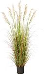 5.5ft. Plume Grass Artificial Plant