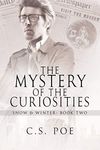 The Mystery of the Curiosities (Snow & Winter Book 2)