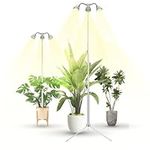 TAURUSY Grow Lights for Indoor Plan