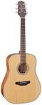 Takamine GD20-NS Dreadnought Acoustic Guitar