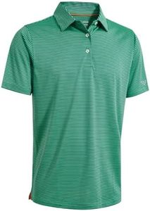 Boys Polo Shirts Short Sleeve Striped Performance Moisture Wicking Dry Fit Golf Shirts for Boys, Green Stripe, 14-16