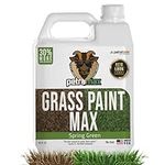PetraMax Green Grass Paint For Lawn