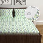 Divine Casa 144 Tc 100% Cotton Elastic Fitted Printed Double Bed Bedsheet With 2 Pillow Cover(60"X78", Celery) - Multicolor