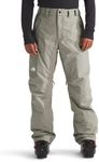 THE NORTH FACE Men's Freedom Insula