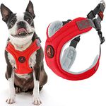 Gooby Escape Free Memory Foam Harness - Red, Medium - No Pull Step-in Small Dog Harness with Four Point Adjustment - Perfect on The Go Dog Harness for Medium Dogs No Pull and Small Dogs