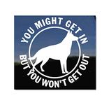 You Might Get in, But You Won't Get Out | GSD German Shepherd Guard Dog Vinyl Decal by NickerStickers®