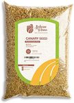 Schoen Farms Premium Canary Seed fo