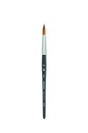 Princeton Aqua Elite Series Synthetic Kolinsky Watercolor Paint Brush | Maximum Colour Holding Capacity | Ideal for Watercolour&Gouache | Handle - Short, Shape - Liner, Size - 10