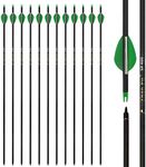 Zhao.Fu 29 Inch Carbon Arrow Practice Hunting Arrows Spine 400 with Removable Tips for Archery Compound & Recurve & Traditional Bow (12 Pcs)