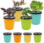 Kiicii Kratky Method Hydroponic Planters Kit, 8 Hydroponic Planters Plus 24 Growing Sponges for Herbs, Hydroponic Mini Buckets for Windowsill Herb Garden, Hydroponic Growing System for Vegetables