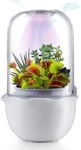 Smart Venus Fly Trap Terrarium Pot with Timer&Fan, Succulent Planter with Grow Light,Indoor Plant Pots Terrarium with Drainage Hole for Carnivorous Plants, Sundew Moss,Flytrap,Cactus(No Plant)