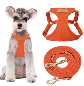 Puppytie D