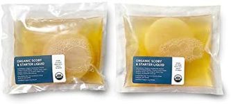 Organic SCOBY 2-Pack | Kombucha Sta