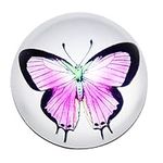 Waltz&F Crystal butterfly Paperweig