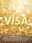 Visa $100 Gift Card (plus $5.95 Pur