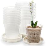 Peohud 20 Pack Plastic Orchid Pots with Holes, Orchid Breathable Slotted Plant Pots, Clear Planter Pots for Repotting Orchids Succulents Herbs, 5.5 / 4.3 Inches