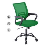 Office Chair, Ergonomic Desk Chair, Upgraded Executive Swivel Computer Chair with Lumbar Support for Home, Office (Green)