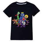 shumintaojin Kids Boys T-Shirts Fashion/Clothing/Tops/Shirts Game Cartoon Clothing Youth Round Neck Short Sleeve 6-13Years (as1, Age, 12_Years, 13_Years, Black)