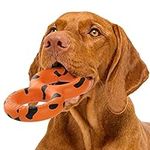 Goughnuts — Dog Toys for Aggressive