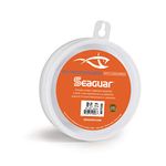 Seaguar STS Trout/Steelhead Fluorocarbon Leader Fishing Line, 15-Pound/100-Yard, Clear