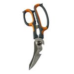 Chicken Shears