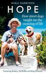 Hope – How Street Dogs Taught Me th