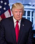 DONALD TRUMP PRESIDENTIAL PORTRAIT GLOSSY POSTER PICTURE PHOTO BANNER usa