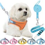 Dog Harness For Shih Tzu