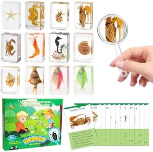 12Pcs Marine Specimen Set in Resin - Real Taxidermy Sea Creatures Collection with Magnifier for Marine Biology Decor, Science Education & Ocean Lovers Gift