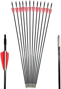 GPP Archery Beginner's First Arrows (30" Fiberglass Target Archery Arrows) - 12 Pack,Red