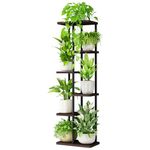 Bamworld Tall Plant Stand Indoor 6 Tier Metal Plant Shelf Black Plant Holder Large Plant Rack for Mutiple Plants Pots for Patio Garden Corner Balcony Living Room