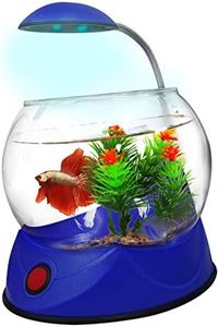 Aquatopia Betta Bowl with Light,