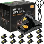 12 Pack Mouse Trap with 1 clamp Mou