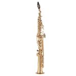 Btuty Brass Straight Soprano Sax Saxophone Bb B Flat Woodwind Instrument Natural Shell Key Carve Pattern with Carrying Case Gloves Cleaning Cloth Straps Cleaning Rod