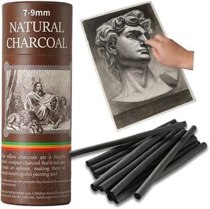 Trzzyan 25 PCS Willow Charcoal Sticks, Ideal for Artists, Beginners, Students, Perfect for Sketching, Drawing, Shading, and Fine Art, 5.7 Inches Long, 2-4,4-5,5-7,7-9 (7-9)