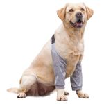 DKDDSSS Dog Front Leg Braces Recovery Sleeve, Pet Dog Front Leg Hock Brace Elbow Protector, Pet Knee Brace Wounds for Medium Large Dogs (2XL, Grey)