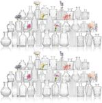 CEWOR Glass Bud Vases in Bulk, Set 