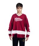 thecostumebase Howe Ice Hockey Jersey Ferris Bueller Day Off Costume Replica Shirt (Medium) Red