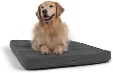 Diggs Snooz Dark Grey Dog Bed I Memory Foam Puppy Bed I Orthopedic Dog Bed I Perfectly Sized for Revol Dog Crate I Crate Pad Has Removable Cover for Cleaning (43.9" x 3.5" x 28.7") I Large