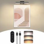 Picture Light Battery Operated, Rechargeable Picture Lights for Wall with Remote, 3CCT&Brightness Dimmable,300 LM, Sticker/Screw Installation, Art Light for Display, Gallery, Artwork-1PC