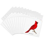 3dRose BIRDS red cardinal 3 on white - Greeting Cards, 6 x 6 inches, set of 12 (gc_25559_2)