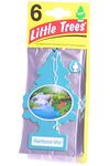 LITTLE TREES Cardboard Hanging Car, Home & Office Air Freshener, Rainforest Mist (Pack of 6)