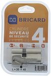 Bricard Cylinder Trial S 30 + 40 ni