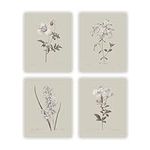 heilkee Vintage Botanical Prints Ne