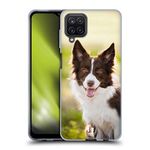 Head Case Designs Brown Border Collie In Summer Popular Dog Breeds Soft Gel Case and Matching Wallpaper Compatible With Samsung Galaxy A12 (2020)