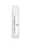 SUGANDA SKINCARE Calendula Lip Balm, Deeply Nourishes Dry & Chapped Lips, Helps Heal Cracked & Wounded Lips, Retains Moisture, Lip Balm For Winters, 4g - White