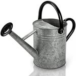 Cesun Metal Watering Can Galvanized Steel Watering Pot with Removable Spray Spout, Movable Upper Handle, Easy to Use for Outdoors Gardening, 1 Gallon-Vintage Zinc