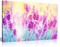 Tranquil Purple Lavender Flower Aromatherapy Herbal Canvas Wall Art Picture Print (24X16)