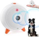 Anti Barking Device for Dogs, Dog B